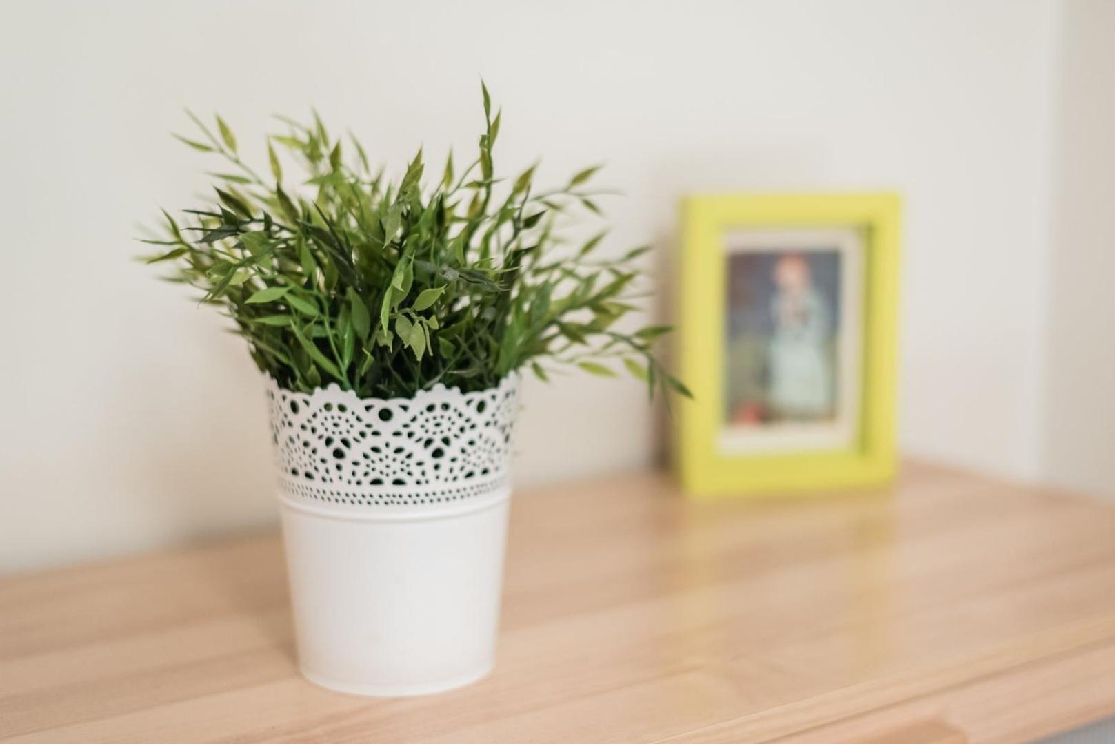Guestready - Amaryllis Apartment OOporto Exteriör bild